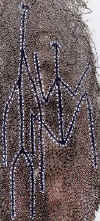Abori20.jpg (20826 octets)