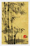 24000001.jpg (34054 octets)