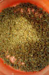 24000003.jpg (53965 octets)