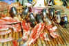 24010010.jpg (35786 octets)