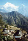 240204.jpg (25139 octets)