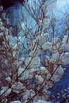 240206.jpg (33231 octets)