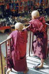 28010109.jpg (27809 octets)
