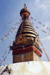 28010113.jpg (19965 octets)