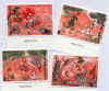 timbres1.jpg (49858 octets)