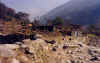 trek41.JPG (36075 octets)